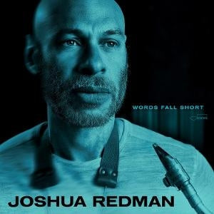 Words Fall Short [LP] (Blue Vinyl)