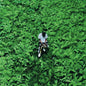 Pocket Operations [3LP]