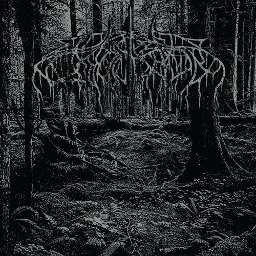 2005 Demo [LP]