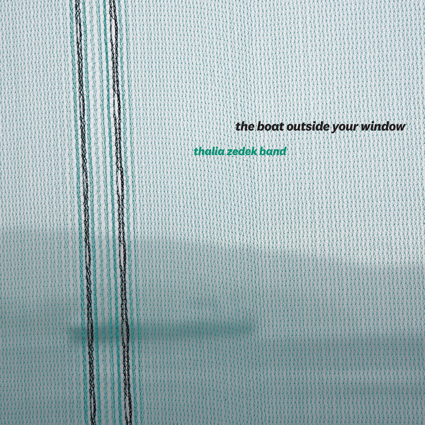 The Boat Outside Your Window [LP]