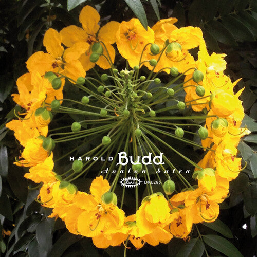 Avalon Sutra [3LP]