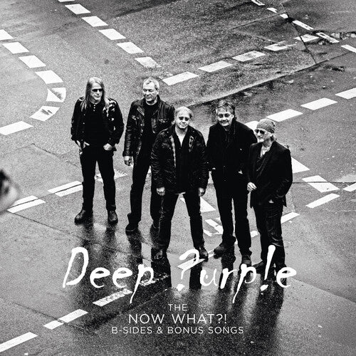 The Now What?! B-Sides And Bonus Songs [LP] (Purple 180 Gram Vinyl)