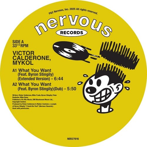 What You Want [12" Vinyl]