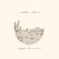 Appaloosa Bones [Brown Vinyl]