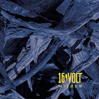 Wisdom [Vinyl LP]