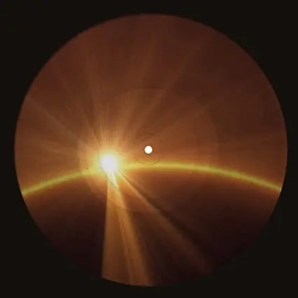 Voyage [Limited Edition Picture Disc Vinyl]