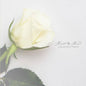 A Beautiful White [LP] (Clear Vinyl)