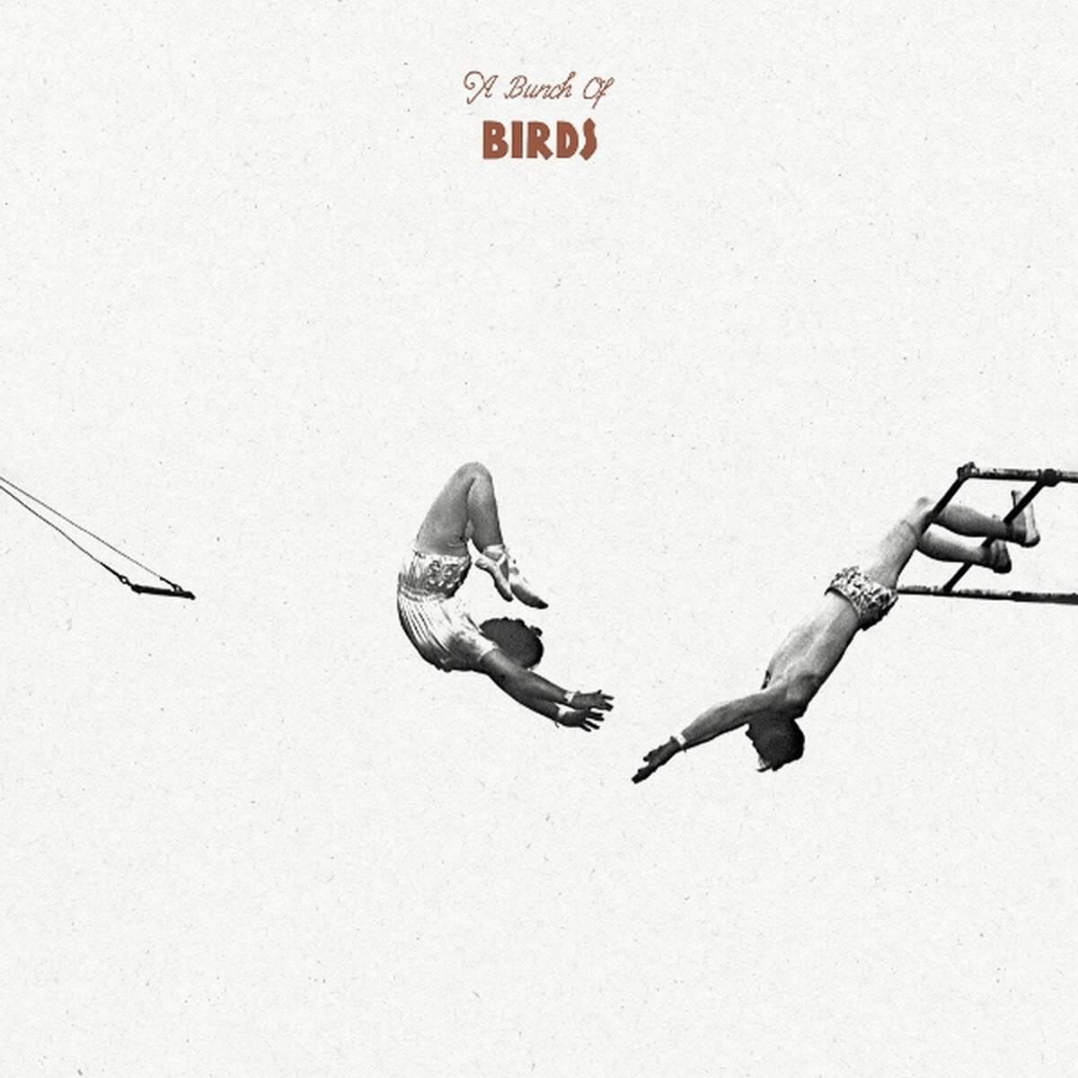 A Bunch Of Birds [LP] (import)