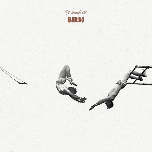 A Bunch Of Birds [LP] (import)