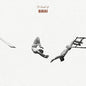 A Bunch Of Birds [LP] (import)