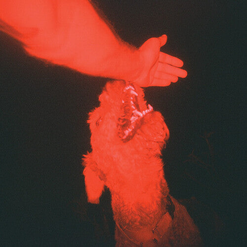 A Trick Of The Light [LP] (160 Gram full print insert full color cover)