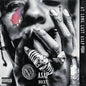 At.Long.Last.A$AP [Explicit Vinyl]