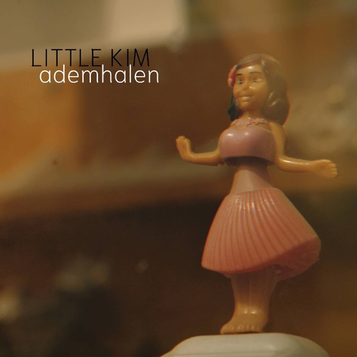 Ademhalen [LP import]