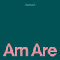 Am Are [LP import]