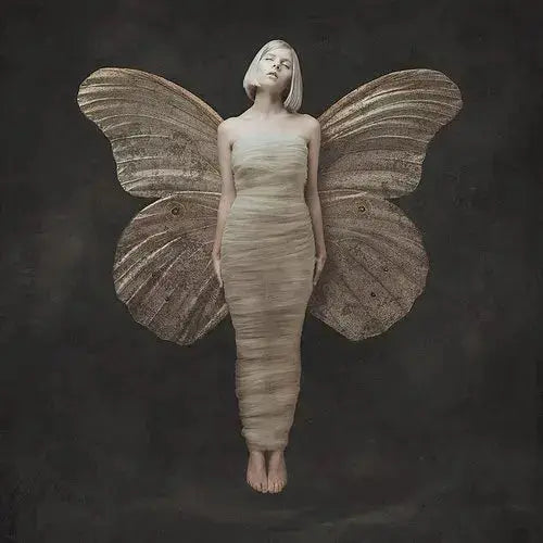 All My Demons Greeting Me As A Friend [Vinyl]