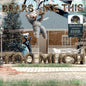 Bears Like This Too Much [LP import]
