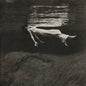 Undercurrent [Vinyl]