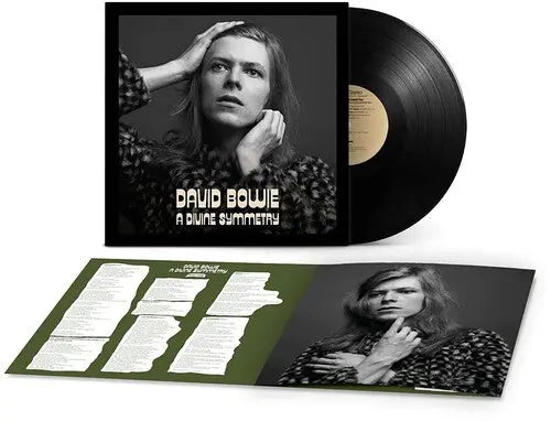 A Divine Symmetry (An alternative journey through Hunky Dory) [Vinyl]