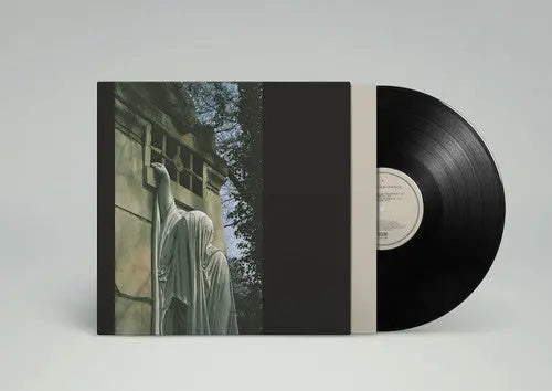 Within The Realm Of A Dying Sun [Vinyl]