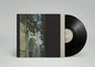 Within The Realm Of A Dying Sun [Vinyl]