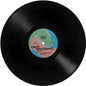 Windows 95 Anthem [Vinyl]