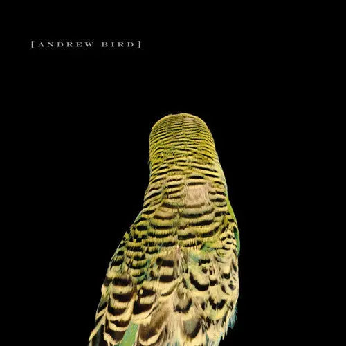 Armchair Apocrypha [Vinyl]