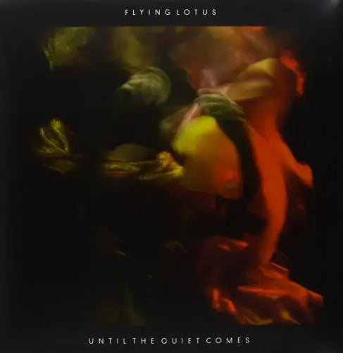 Until the Quiet Comes [2LP Vinyl]