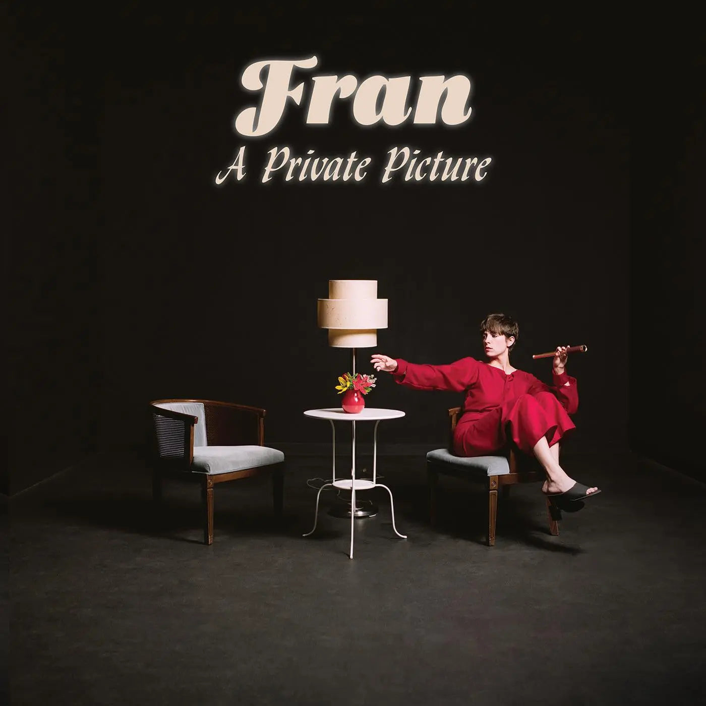 A Private Picture [Vinyl]