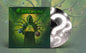 Anomalous Abstractigate Infinitessimus [Vinyl]