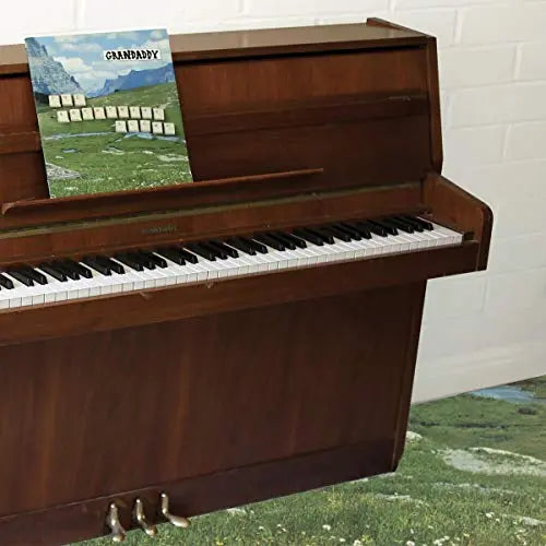 The Sophtware Slump.....On A Wooden Piano [Pink Vinyl]