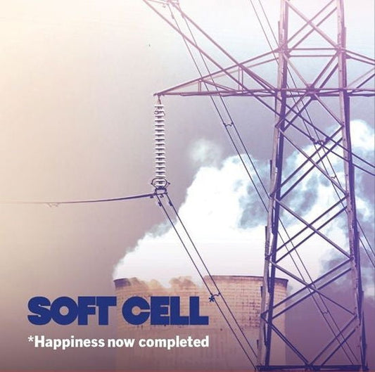 Happiness Now Completed [LP import]