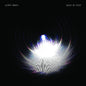 Basis Of Unity [Transluscent Cobalt Blue Vinyl]