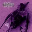 Brave Murder Day [Vinyl LP]