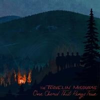 One Chord That Rings True [LP 180 Gram]