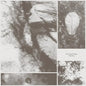 All Living Things [LP]