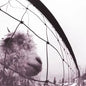 Vs. (30th Anniversary) [Clear Vinyl]
