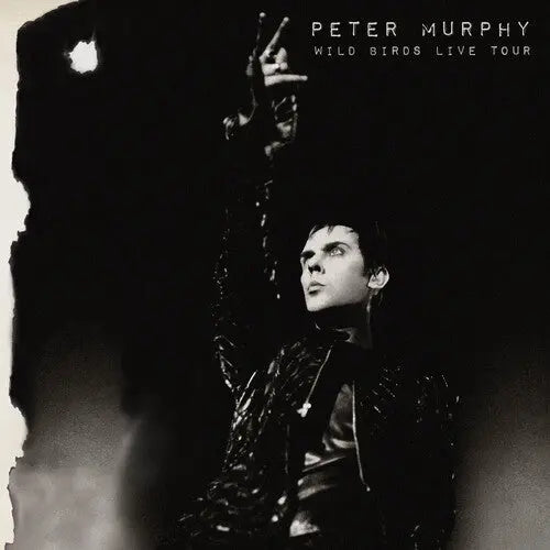 Wild Birds Live Tour [Purple & Black Vinyl]