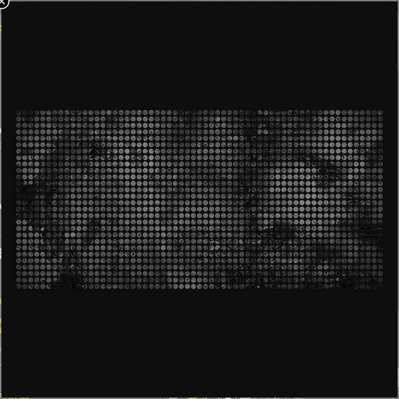 Presents [LP]
