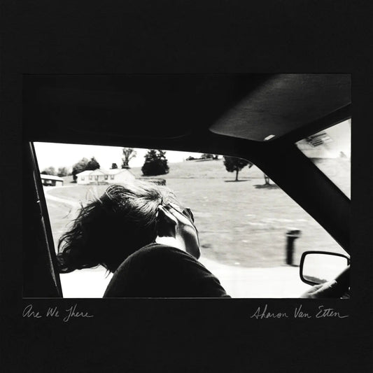 Are We There (10th Anniversary) [Black Grey & Silver Vinyl]