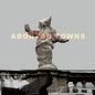 Aborted Towns, The Deadly Silence Before Utopia [LP]