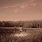 Silver Blue [LP Import]
