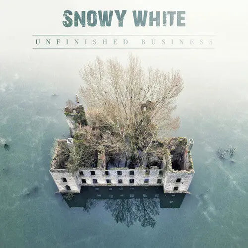 Unfinished Business [Vinyl]