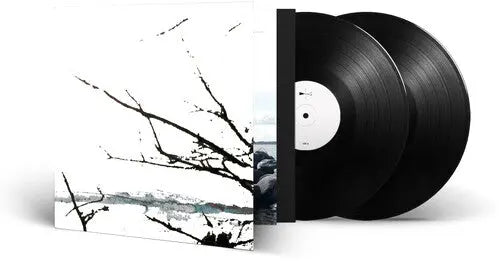 Vare [Vinyl]