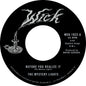 Before You Realize It B/W Cerebral Crack [7" Vinyl]