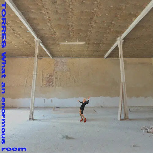 What an Enormous Room [Vinyl]