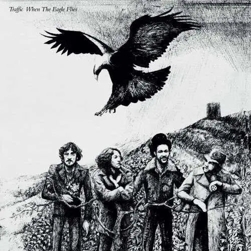 When The Eagle Flies [Vinyl]