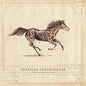 A Long Way From Your Heart [Vinyl]