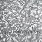 Undercurrents [LP]