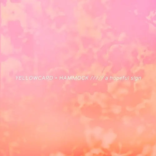 A Hopeful Sign [Vinyl]