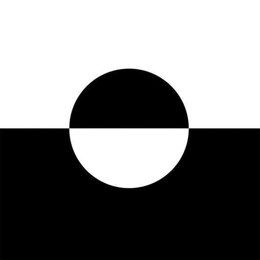 Zenith [LP]